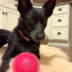 Meet your Posher, Kimberly